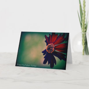 Carte Lomo Daisy Card