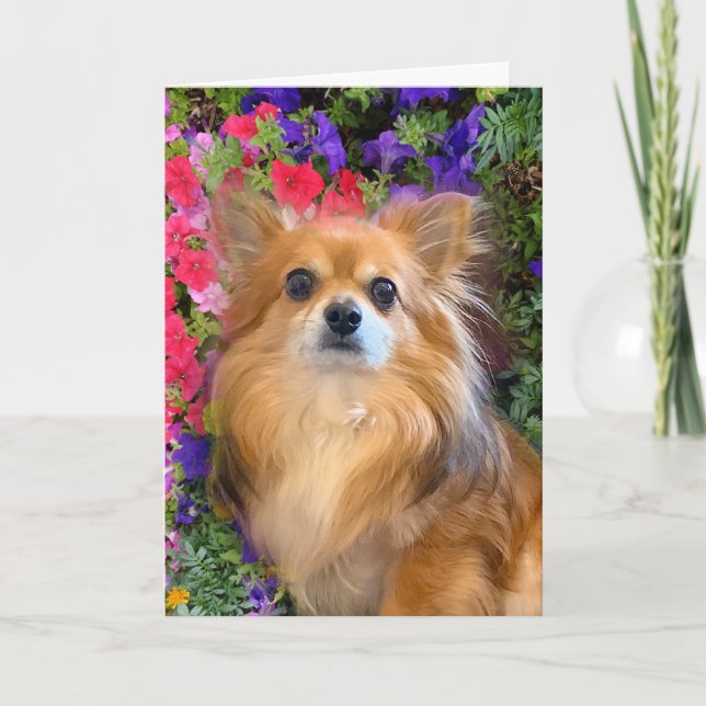 Carte Longhair Chihuahua Fleurs florales (Devant)