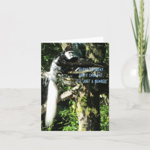 Carte Longue queue de singe dans un arbre