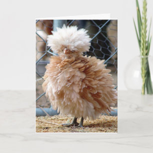 CARTE LORSQUE LA MALADIE MANGE UN HAMBURGER ***PAS DE SO