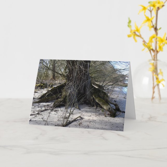 Carte Lost Places, vieux Arbre sur la rive de la rivière (Fleur jaune)