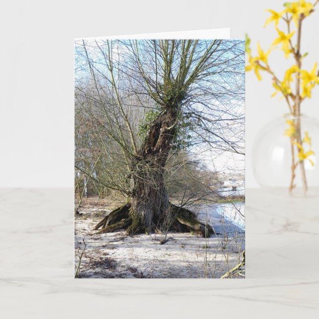 Carte Lost Places, vieux Arbre sur la rive de la rivière (Fleur jaune)
