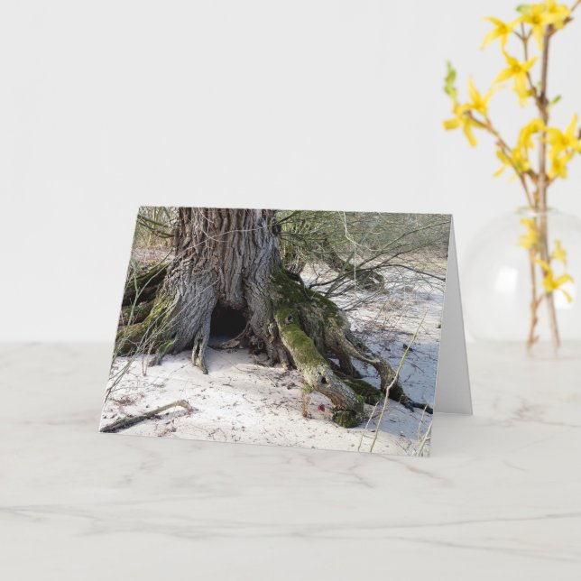 Carte Lost Places, vieux Arbre sur la rive de la rivière (Fleur jaune)
