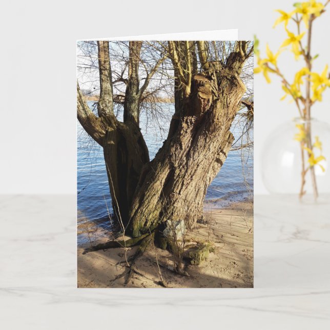 Carte Lost Places, vieux Arbre sur la rive de la rivière (Fleur jaune)
