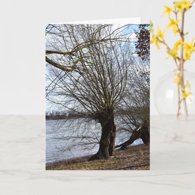 Carte Lost Places, vieux Arbre sur la rive de la rivière (Fleur jaune)