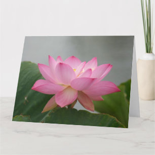 Carte Lotus Blossom Rose