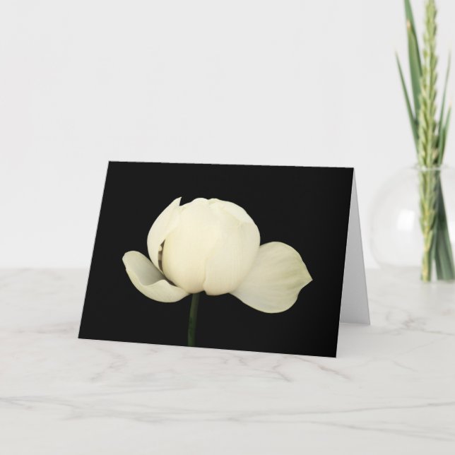 Carte Lotus Bud (Devant)