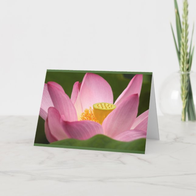 Carte Lotus Card (Devant)