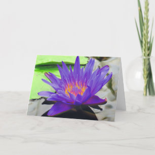 Carte Lotus pourpre