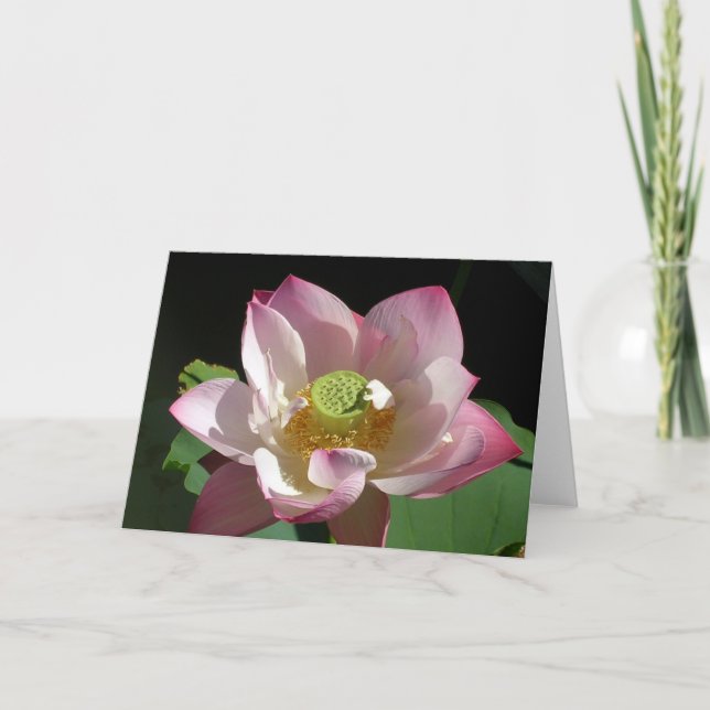 Carte Lotus rose (Devant)