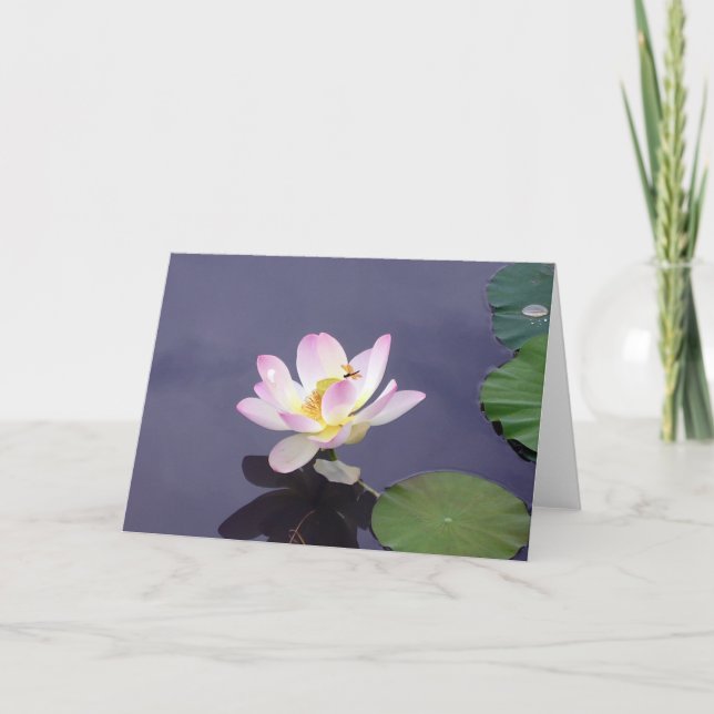 Carte Lotus rose avec dragon Fly (Devant)