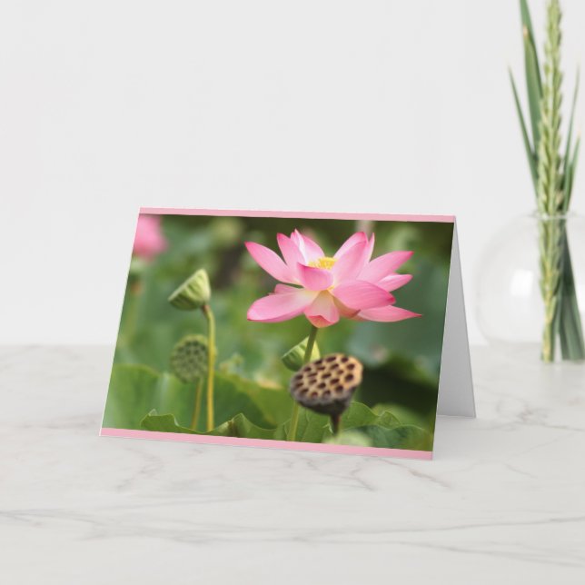 Carte lotus sympathique (Devant)