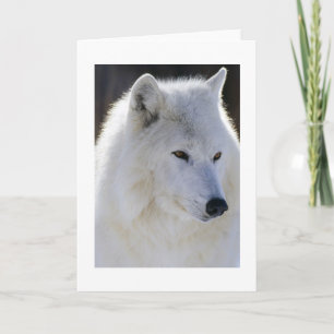 Carte Loup blanc
