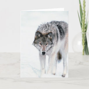 Carte Loup tortueux
