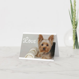 Carte Love Yorkshire Terrier Puppy Dog Blank Card