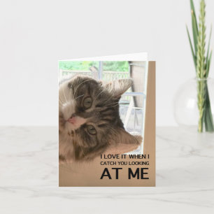 Carte Love Your Cattitude Note Card