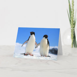 Carte lovers penguins