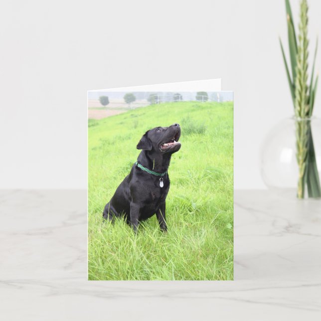 Carte LR noir assis (Devant)