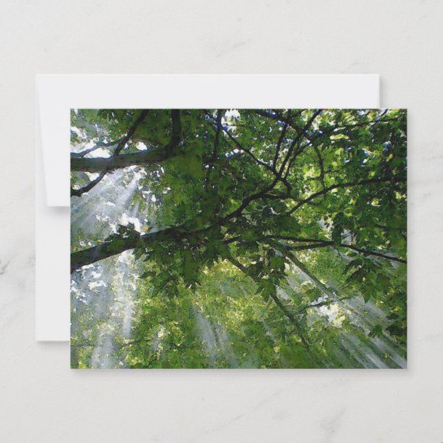 Carte Lumière Solaire À Travers Les Arbres (Devant)