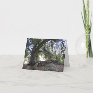 Carte Lumières d'ange