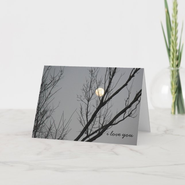 Carte Lune d'hiver, je t'aime à la lune et au retour (Devant)