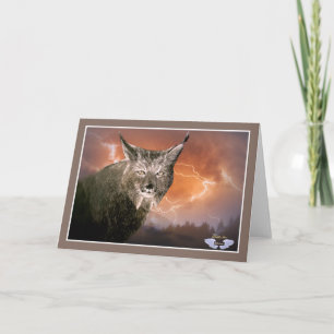 Carte Lynx in a lighting storm