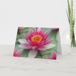 Carte Lys d'eau rose Lotus