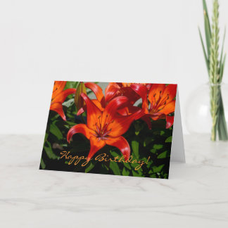 Carte Lys orangé rose foncé