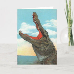 Carte M. Alligator