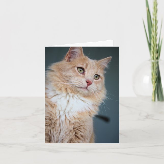 Carte M., Handsome (Devant)