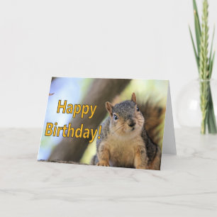 Carte M. Squirrel souhaite un joyeux anniversaire