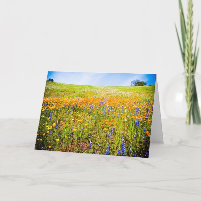 Carte Ma Californie 1 (Devant)