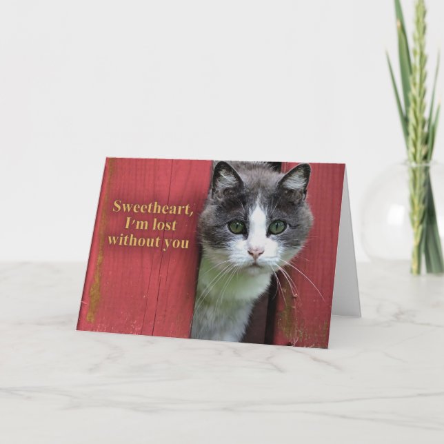Carte Ma chérie, je suis perdu sans toi, mignon chat (Devant)
