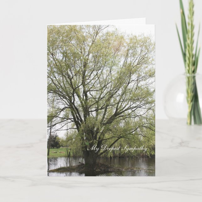 Carte Ma sympathie plus profonde (Devant)