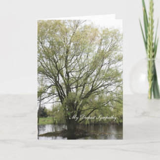 Carte Ma sympathie plus profonde