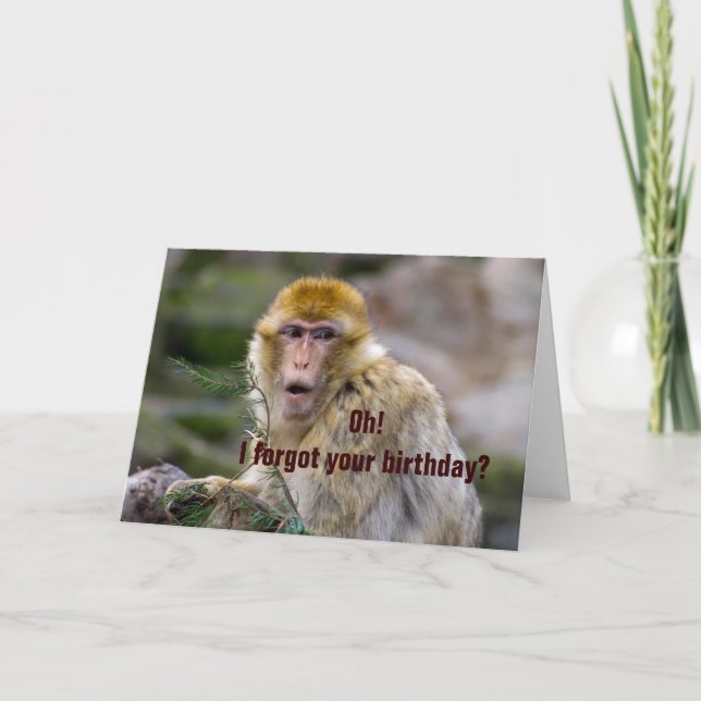 Carte Macaca sylvanus (Devant)