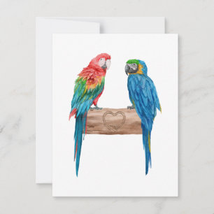 Carte Macaw Bird Parrot Lover Watercolor