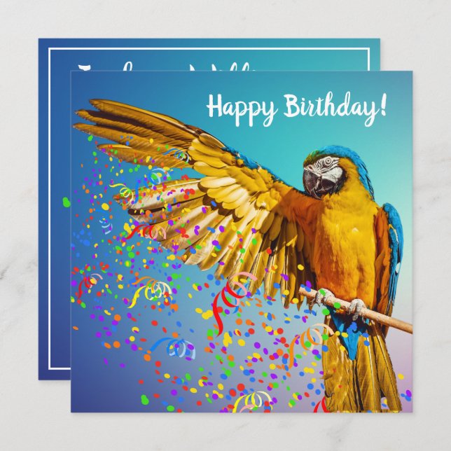 Carte Macaw bleu et jaune lance Confetti (Devant / Derrière)