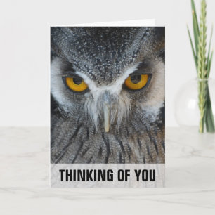 Carte Macro Black and White Owen Thinking Of You Card