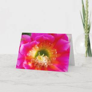 Carte Macro fleur succulente