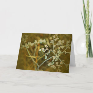 Carte Macro Plante blanc Toutes les occasions Iniide bla