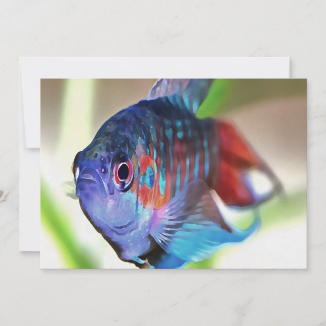 Carte Macropodus Opercularis Aquarium Poisson (Devant)