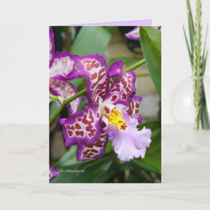 Carte Madame de fantaisie Orchid