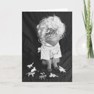 Carte Madame folle Somali Cat de chat