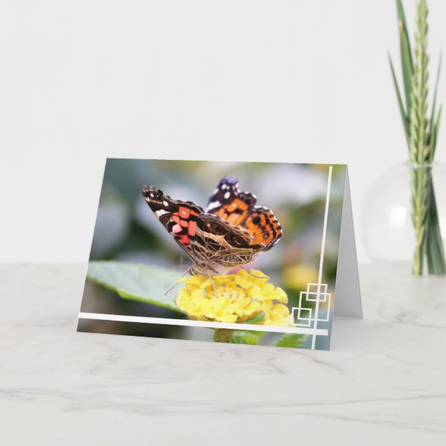 Carte Madame peinte par Américain Butterfly Blank (Devant)