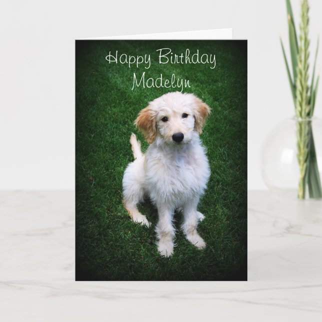 Carte Madelyn Joyeux Anniversaire Golden Doodle Chiot (Devant)