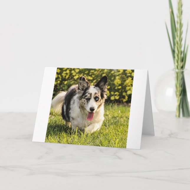 Carte Maggie Mae (Devant)