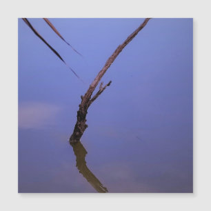 Carte Magnétique #1-Etang de Scamandre en Camargue. Aimant