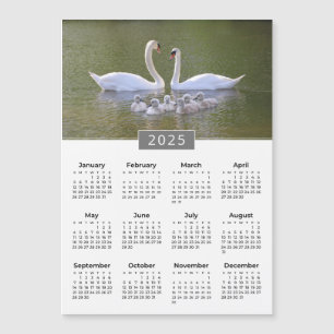 Carte Magnétique Aimant cygne et cygnets Calendrier 2025
