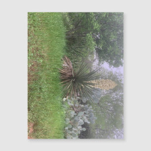 Carte Magnétique Aimant de scène du Yucca (paysage)